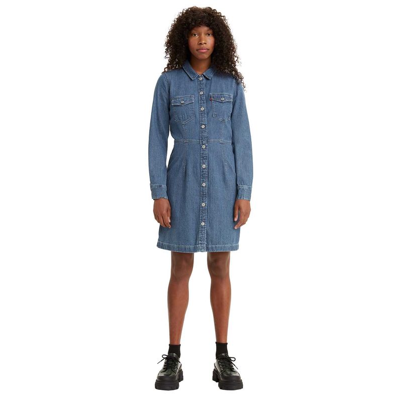 Denim 2025 dress levis