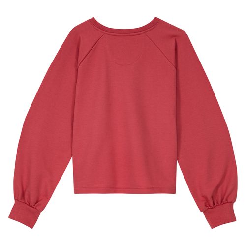 Moletom Levis Raglan Fleece Infantil