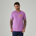 camiseta_levis_graphic_set_in_neck_lilas_manga_curta_LB0013173-1.jpg