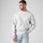 A92440001_levis-2.jpg