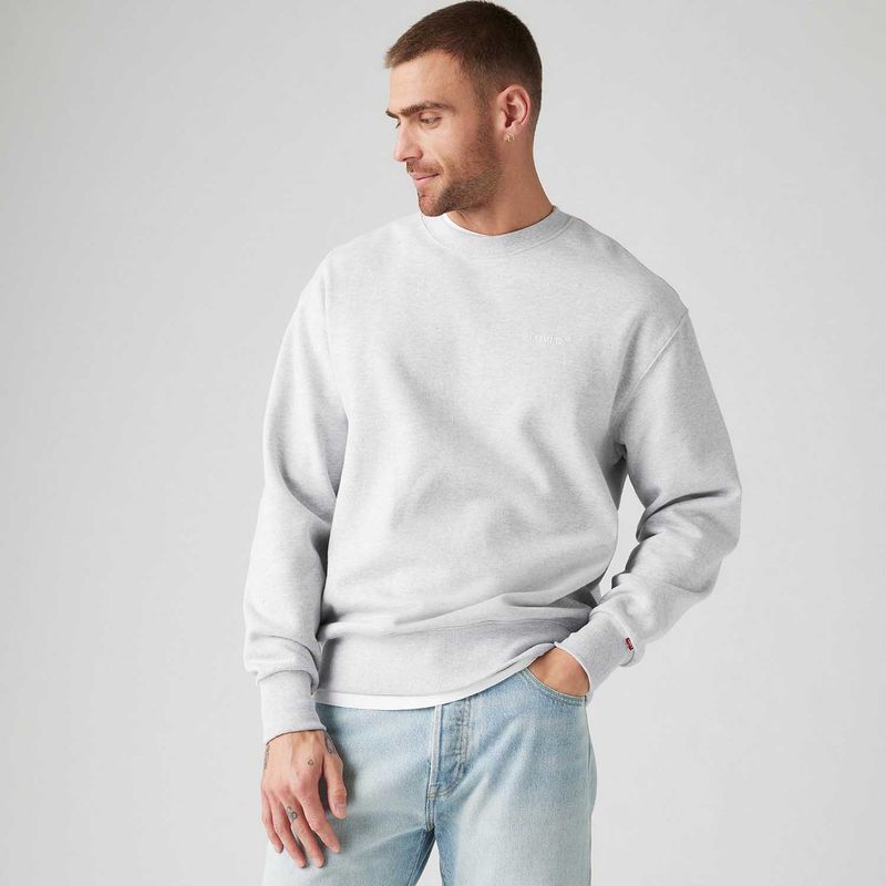 A92440001_levis-2.jpg