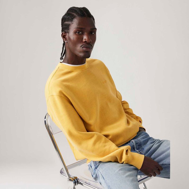 A92440019_levis-3.jpg
