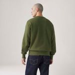 A92440020_levis-2.jpg