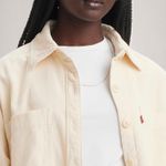 A86910011_levis-2.jpg