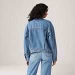 A17430127_levis-4.jpg