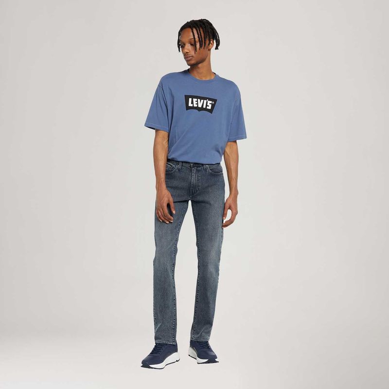 045116125_Levis--1.jpg