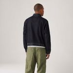 0010P0004_levis-3.jpg