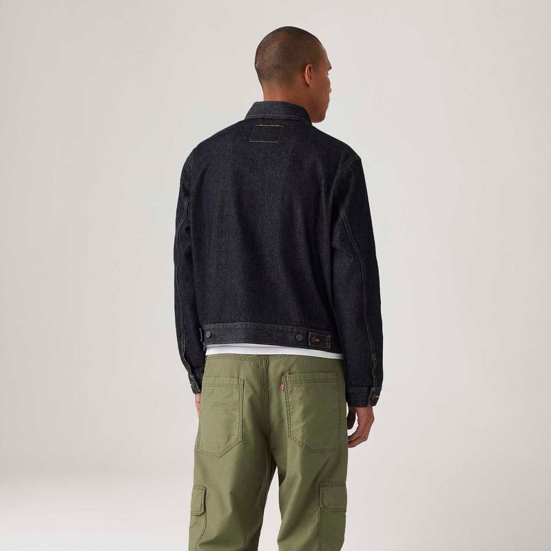 0010P0004_levis-3.jpg