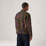 001FH0001_levis-4.jpg