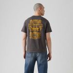 LB0010571_levis-2.jpg