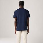 LB0010581_levis-3.jpg
