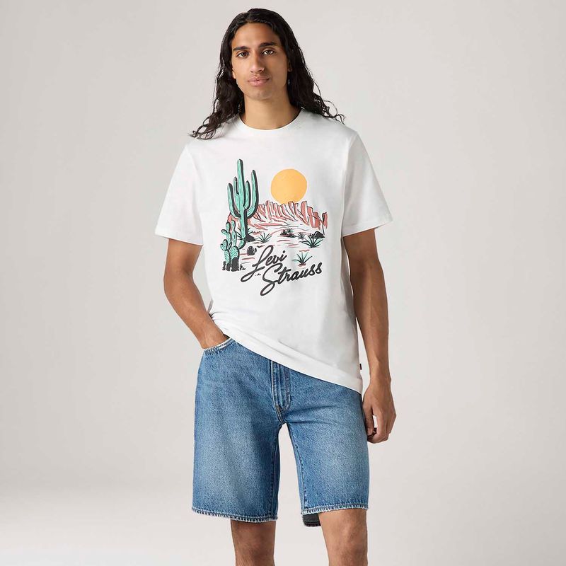 LB0010584_levis-1.jpg