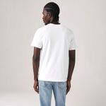 LB0010583_levis-4.jpg