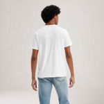 246710042_levis-3.jpg