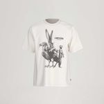 LB0010590_levis-1.jpg