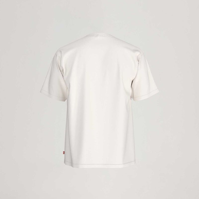 LB0010590_levis-3.jpg