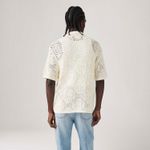 0013G0000_levis-4.jpg