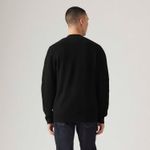 A86260000_levis-2.jpg