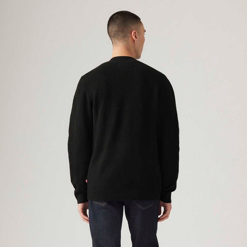 A86260000_levis-2.jpg