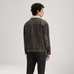 A57840001_levis-3.jpg