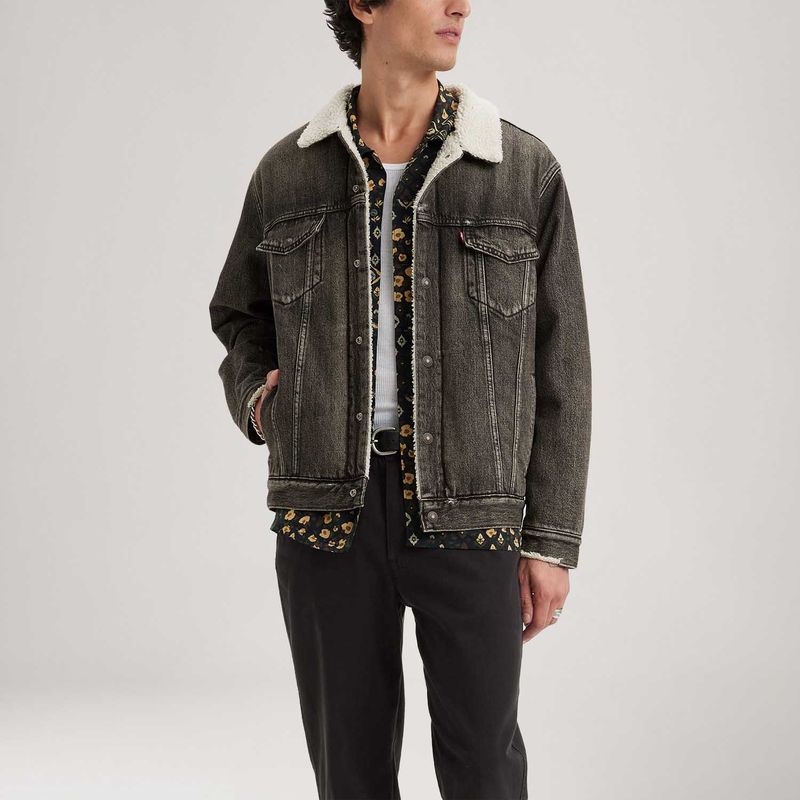 A57840001_levis-2.jpg