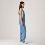 853150034_levis-2.jpg