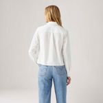 002AG0000_Levis-2.jpg