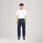 005013655_levis-1.jpg