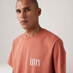 LB0010568_levis-3.jpg