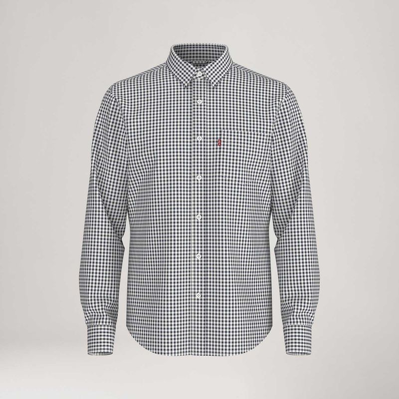 LB0050052_Levis-1.jpg