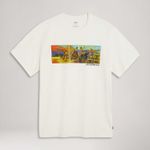 161431671_Levis--1.jpg