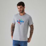camiseta_levis_graphic_set_in_neck_LB0018027-1.jpg