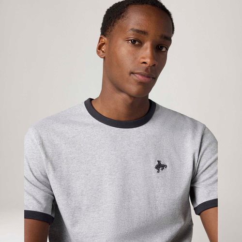 Camiseta Levi's® Retro Ringer