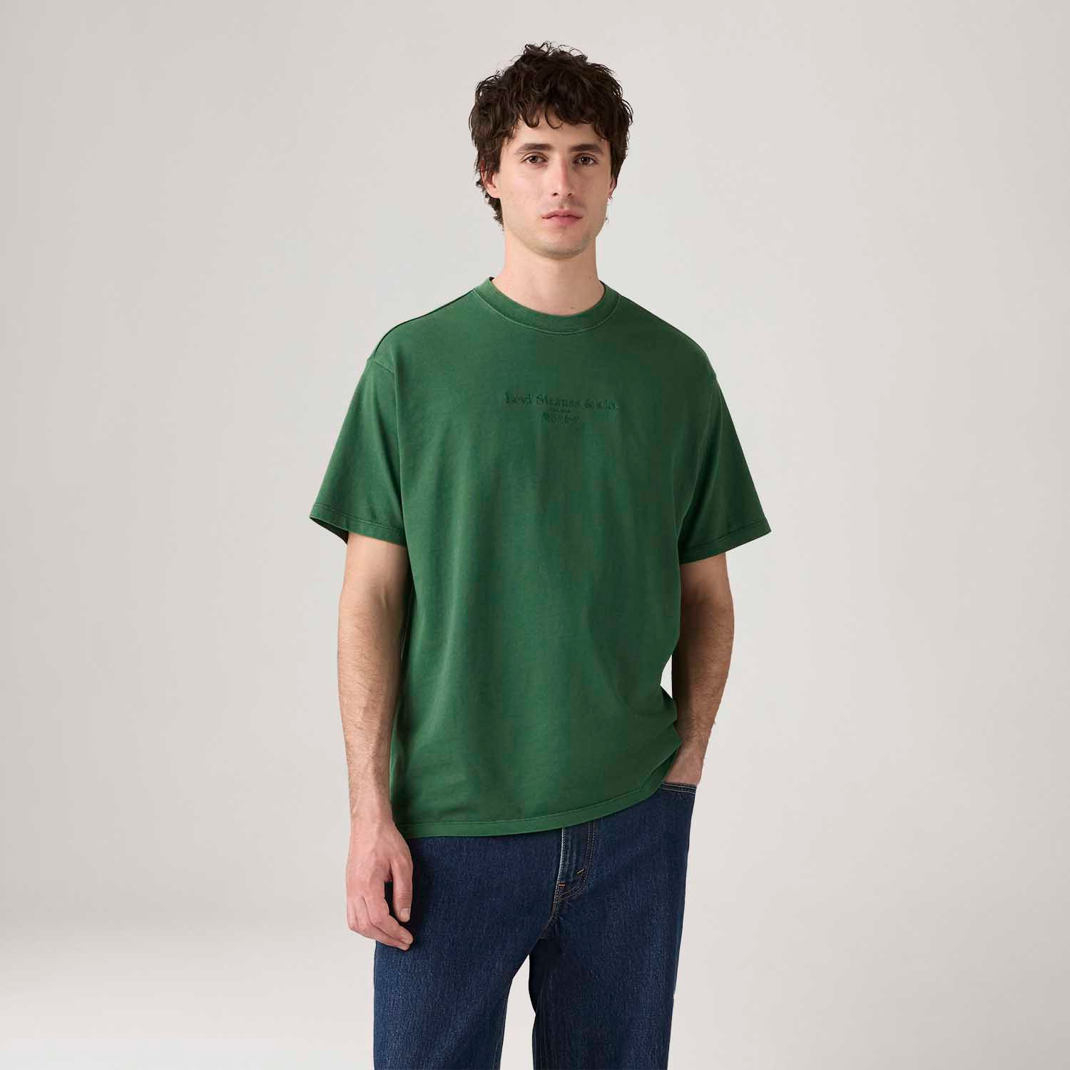 Camisetas Masculinas: Estampadas e Lisas Levi's® Brasil