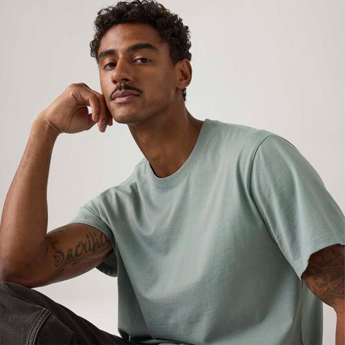 Camiseta Levi's® Softee Cinza